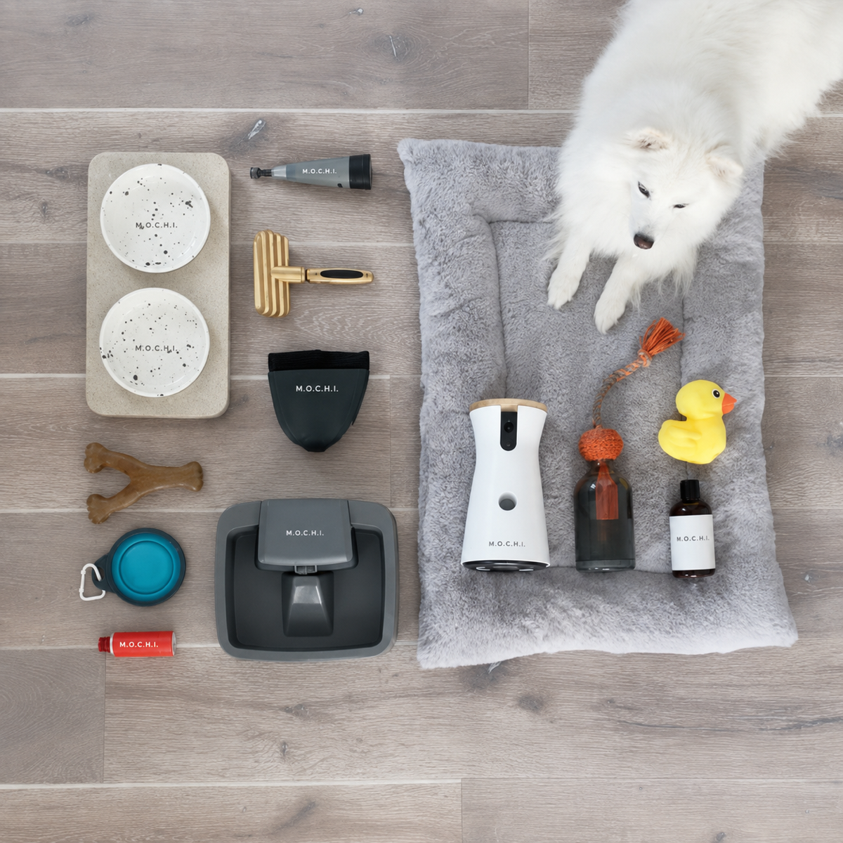 Dog and a collection of pet-care essentials with M.O.C.H.I. branding
