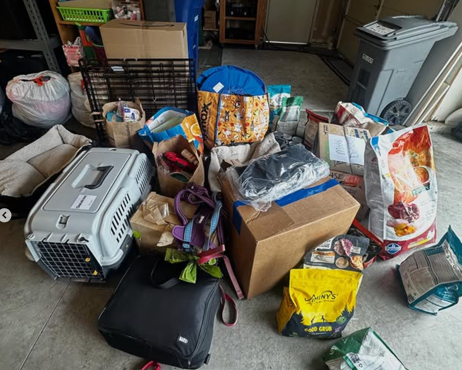 Pet food and supplies gathered for a community project